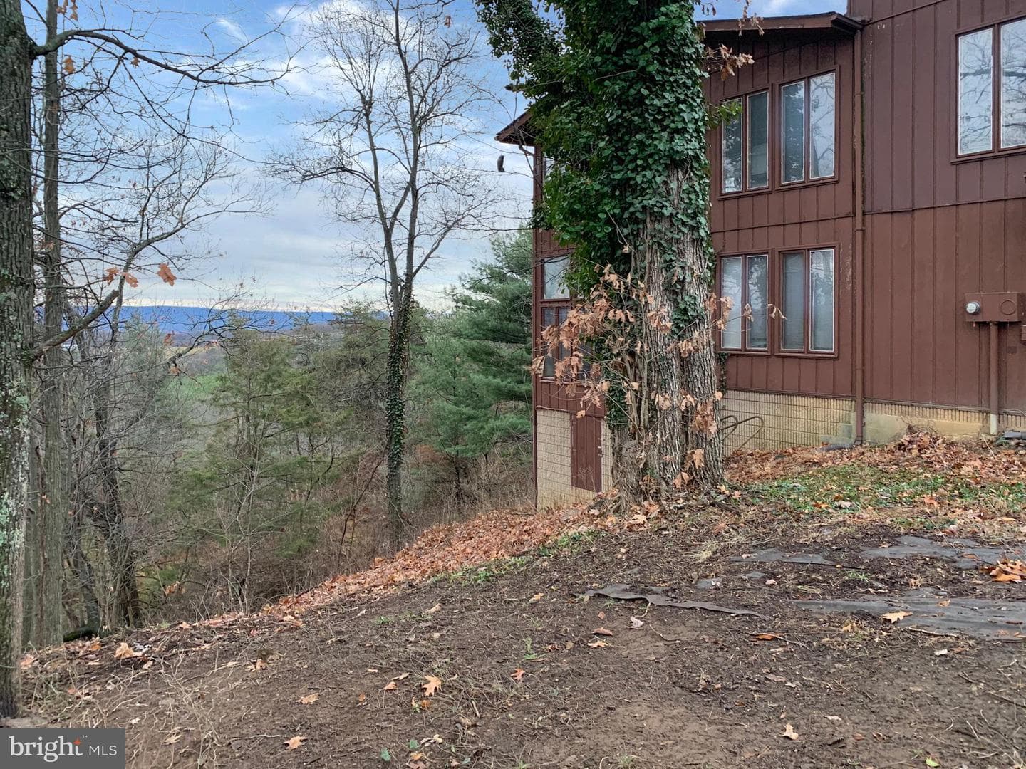 53 Leigh Court photo 21