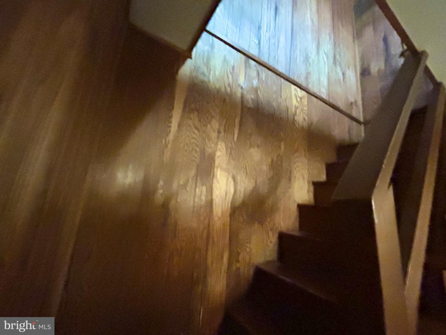 53 Leigh Court photo 34