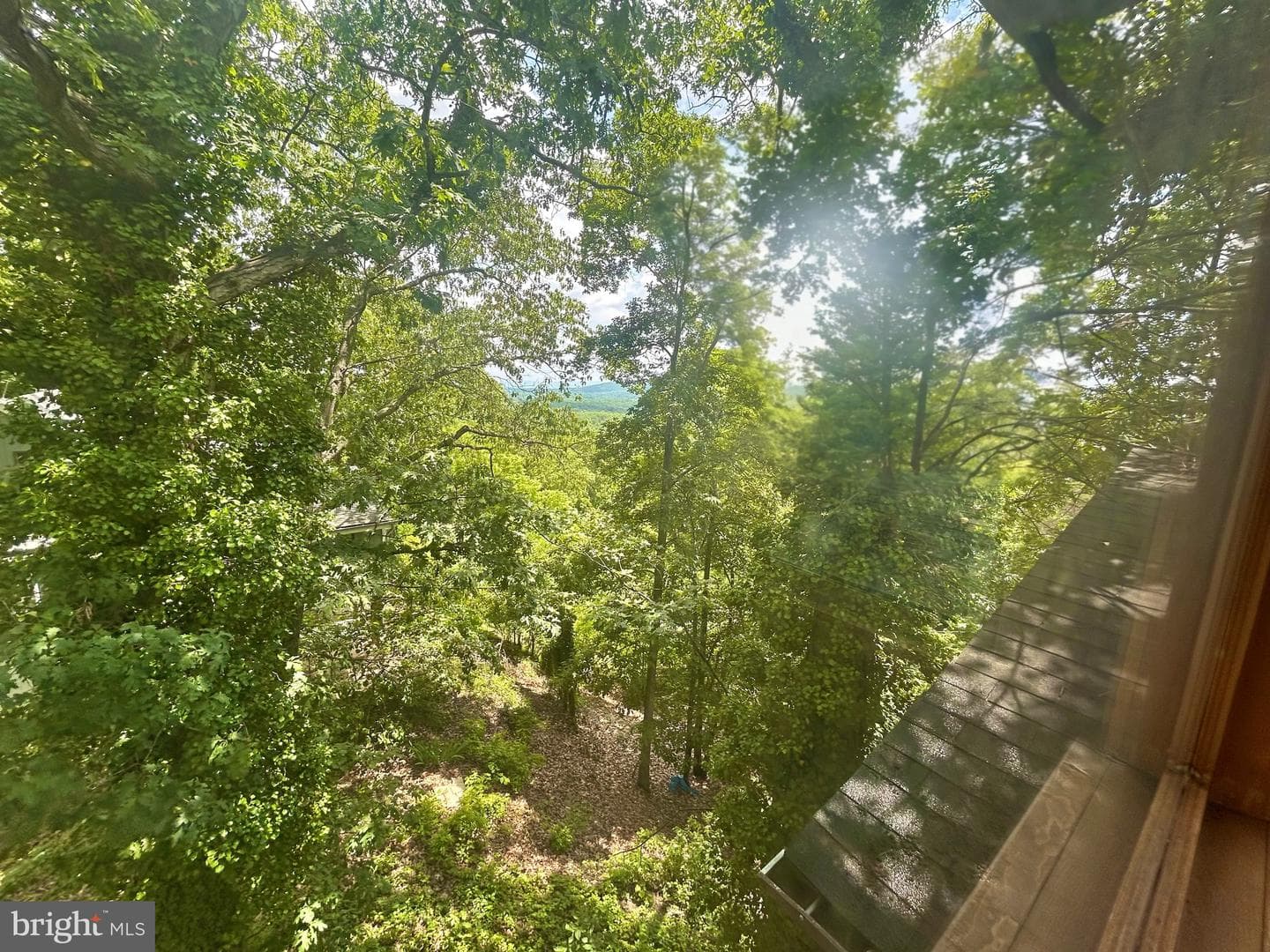53 Leigh Court photo 4