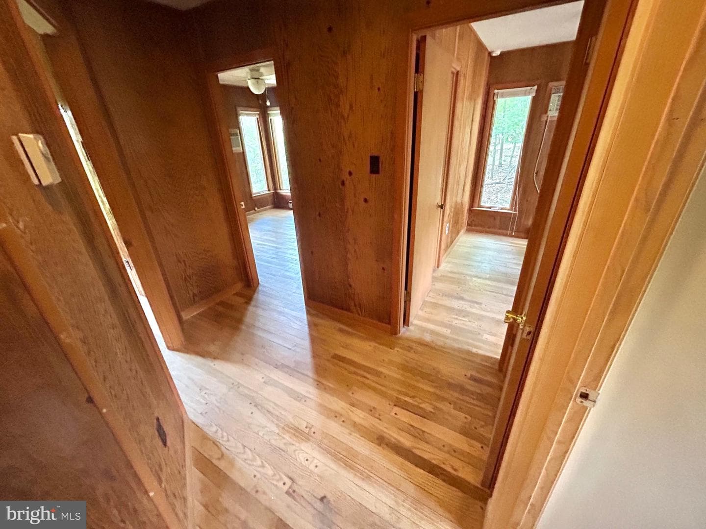 53 Leigh Court photo 43