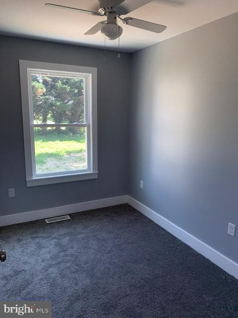 176 Bank St photo 13