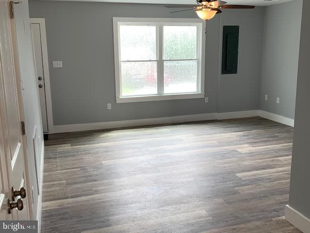 176 Bank St photo 7