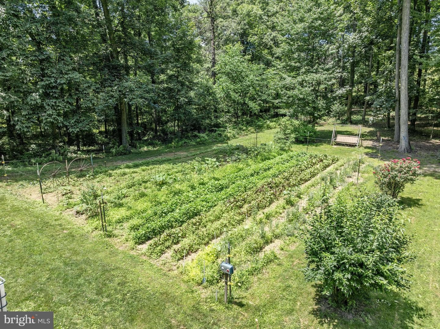 2529 Saumsville Road photo 9