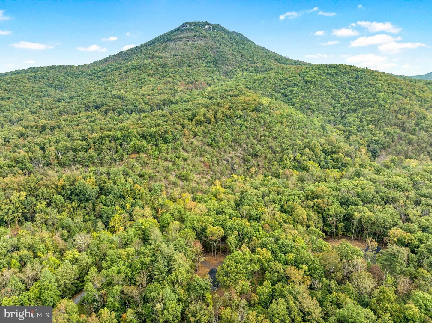 3006 Moreland Gap Rd photo 33