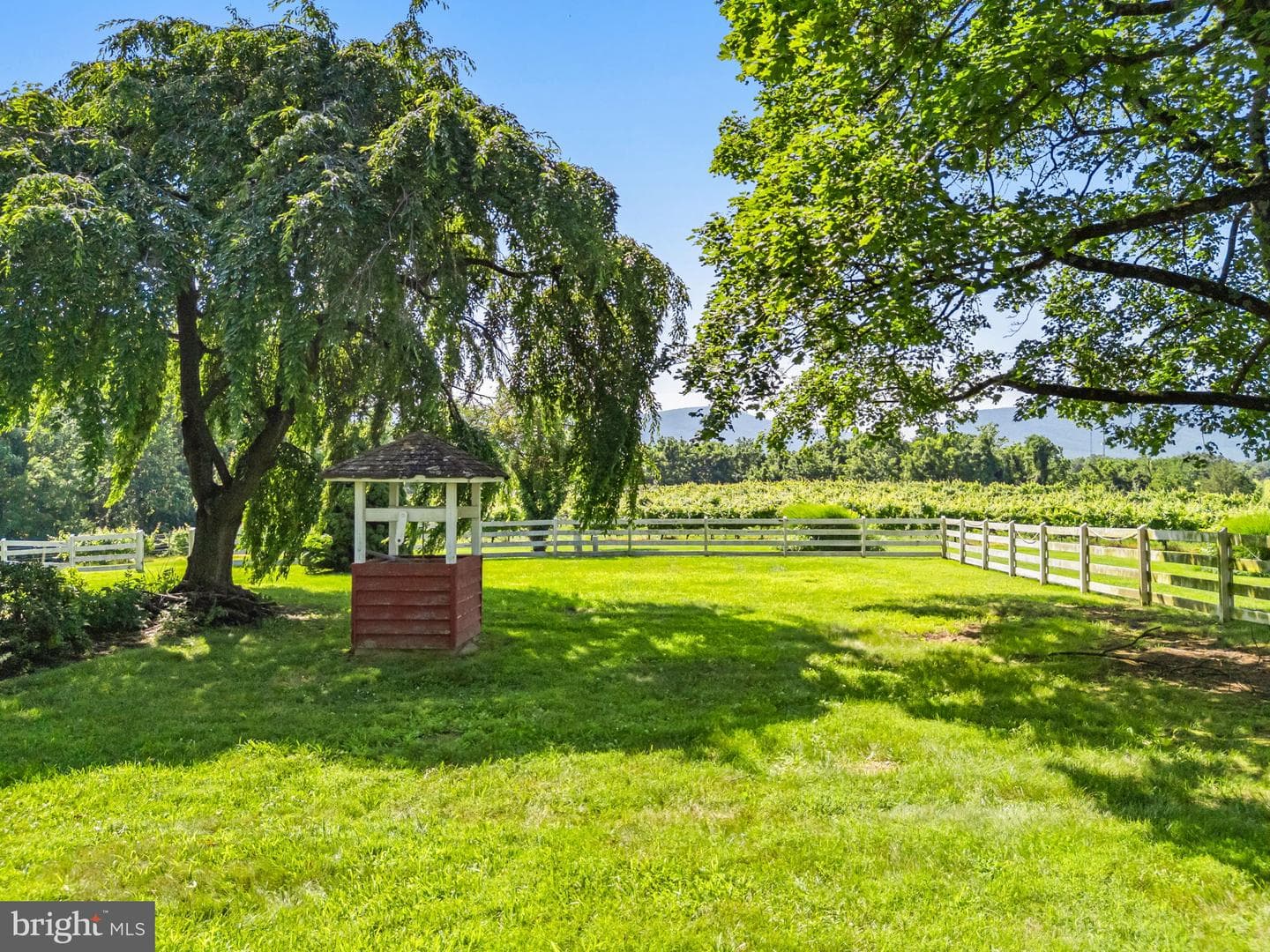 3659 S Ox Road photo 50