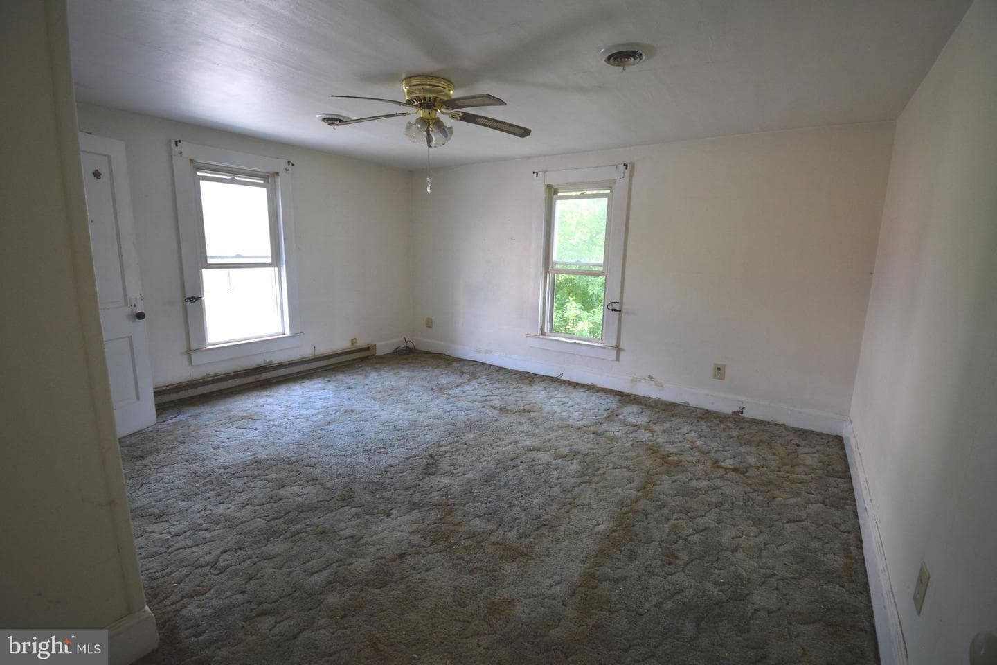 345 Shaffer Street photo 7