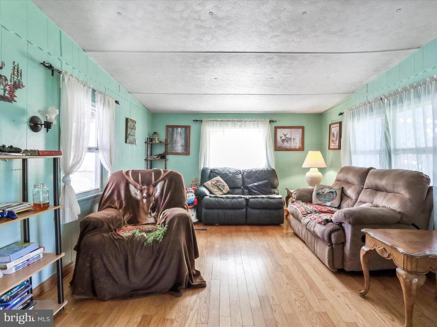 457 Tea Berry Road photo 14