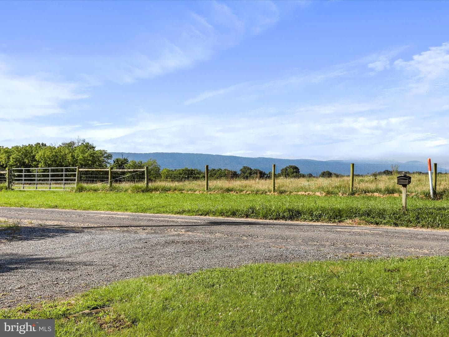 457 Tea Berry Road photo 15