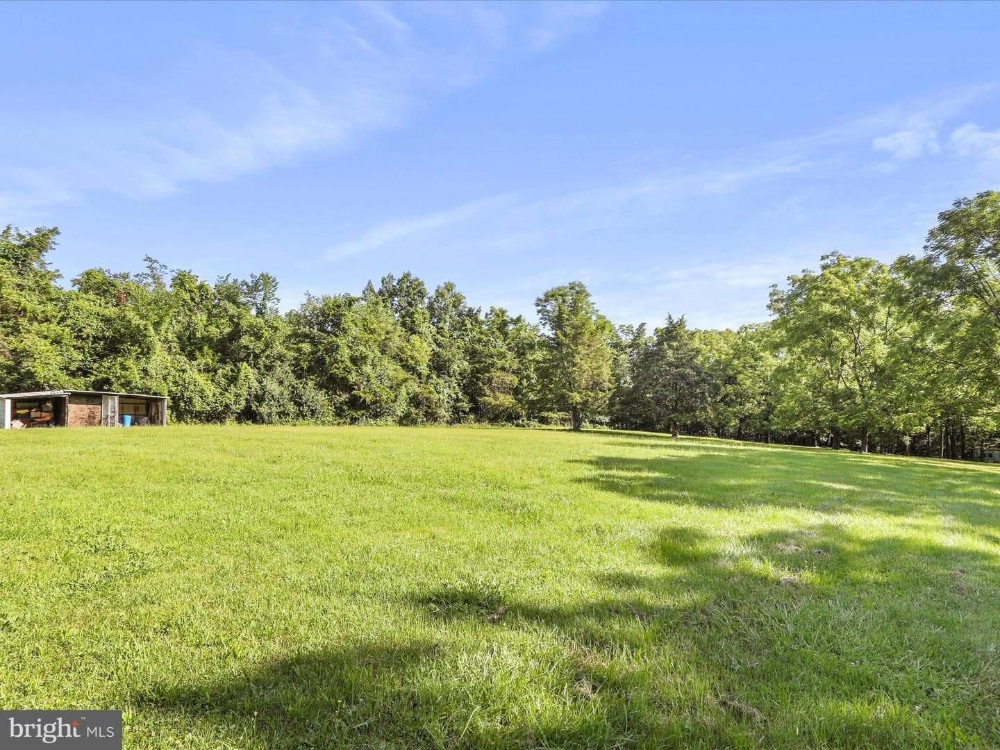 457 Tea Berry Road photo 17