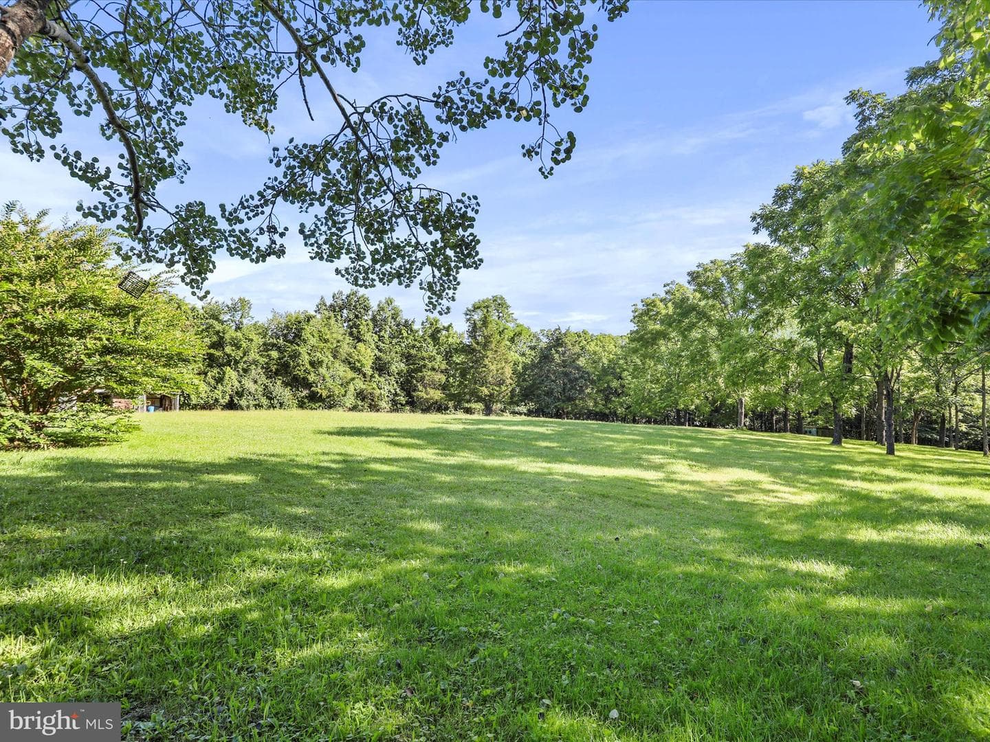 457 Tea Berry Road photo 19