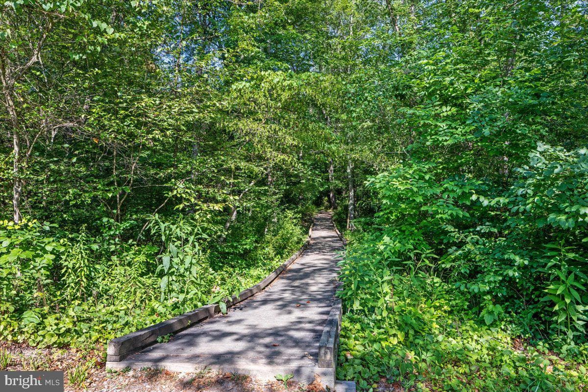 693 Many Water Lane photo 36