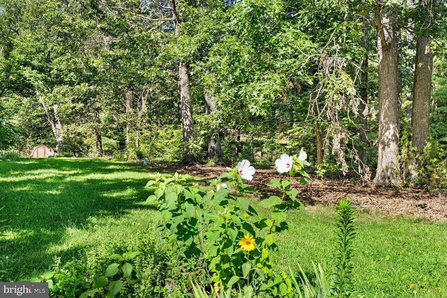 1819 Patmos Road photo 55