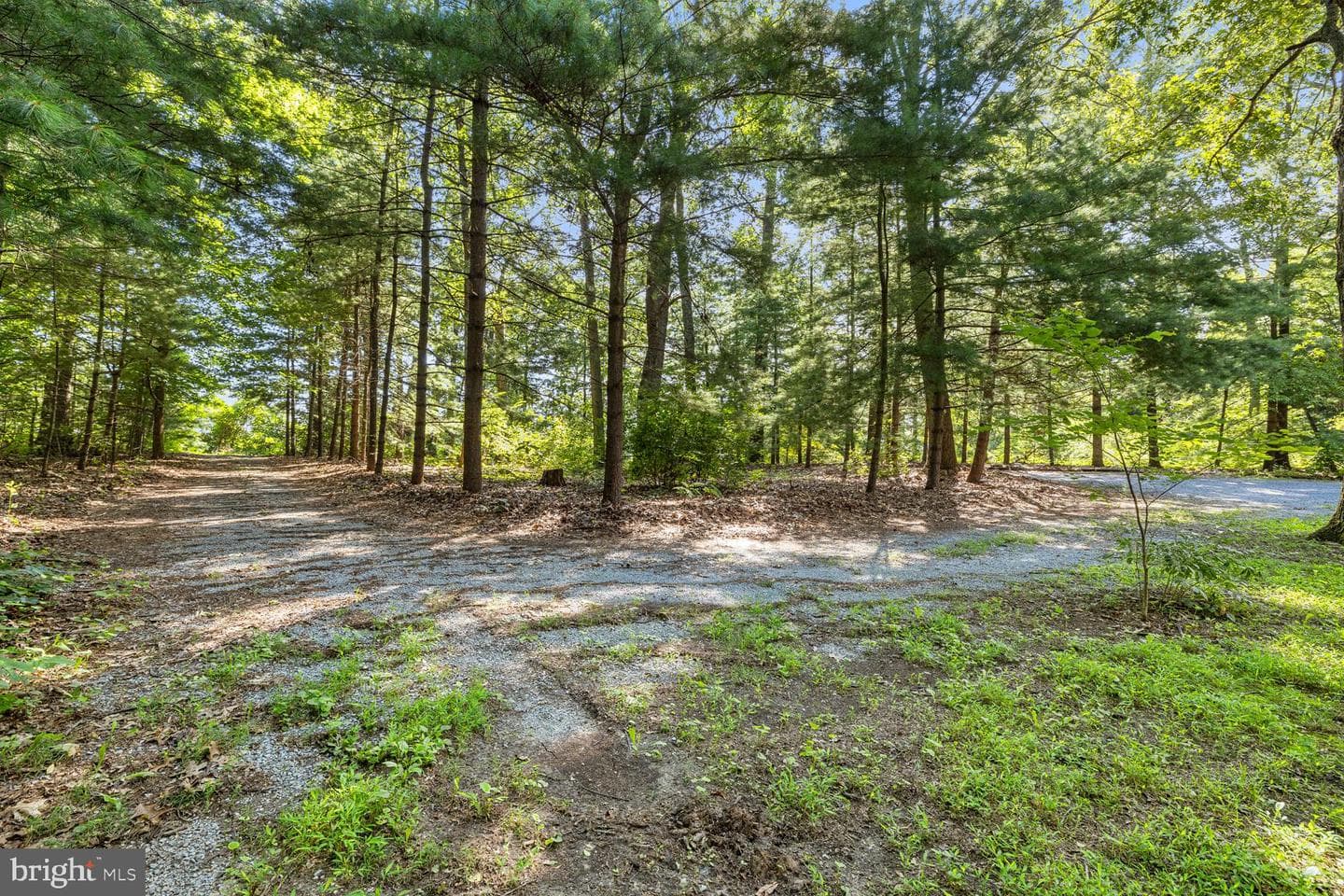 1819 Patmos Road photo 58