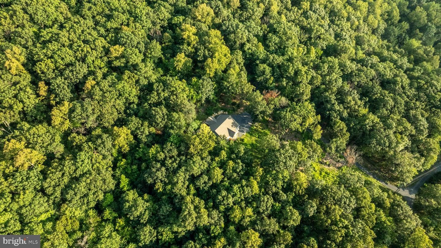 115 Mountain Top Lane photo 64