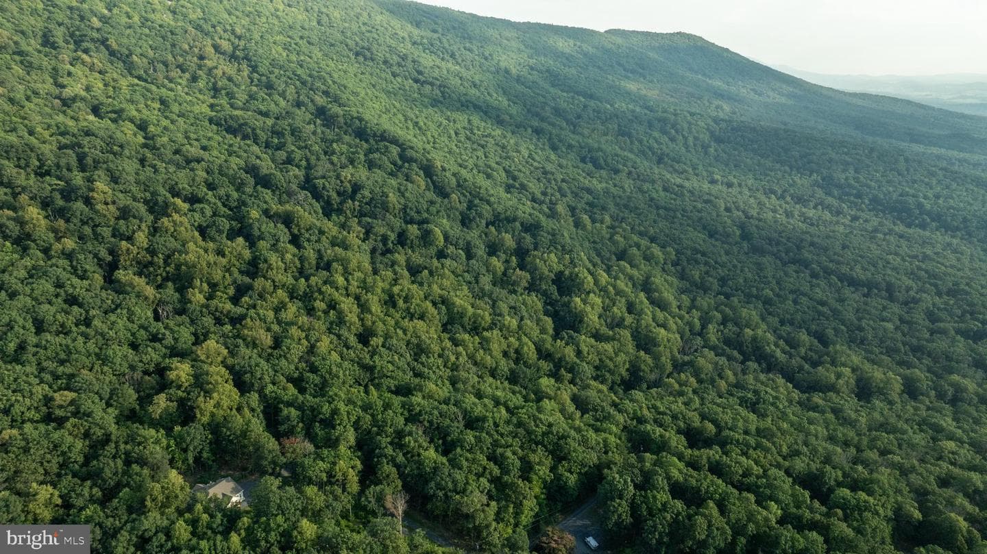 115 Mountain Top Lane photo 67