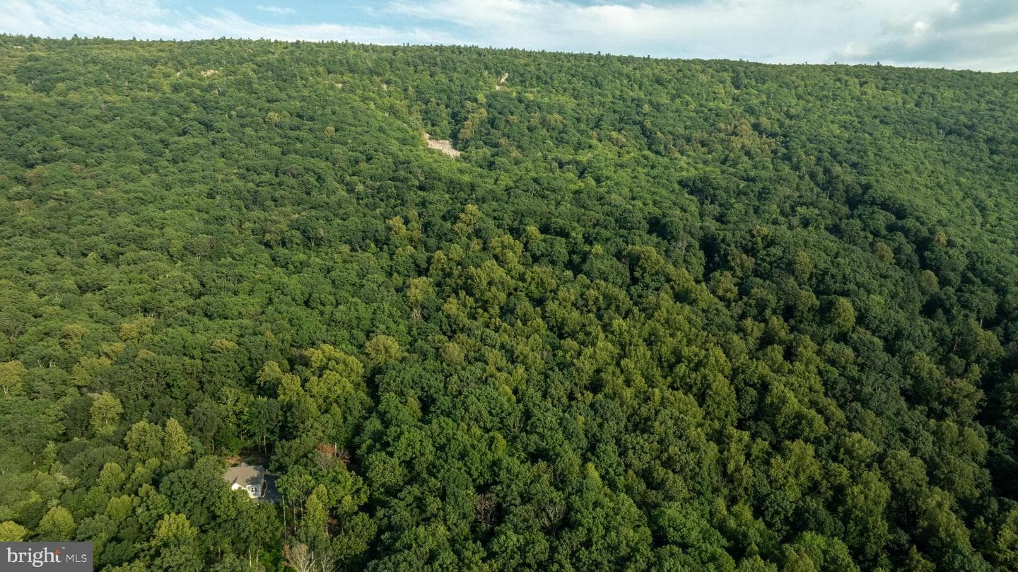 115 Mountain Top Lane photo 68