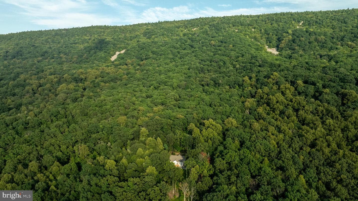 115 Mountain Top Lane photo 69