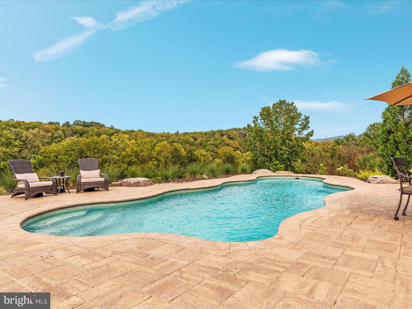 398 Cliffside Drive photo 6