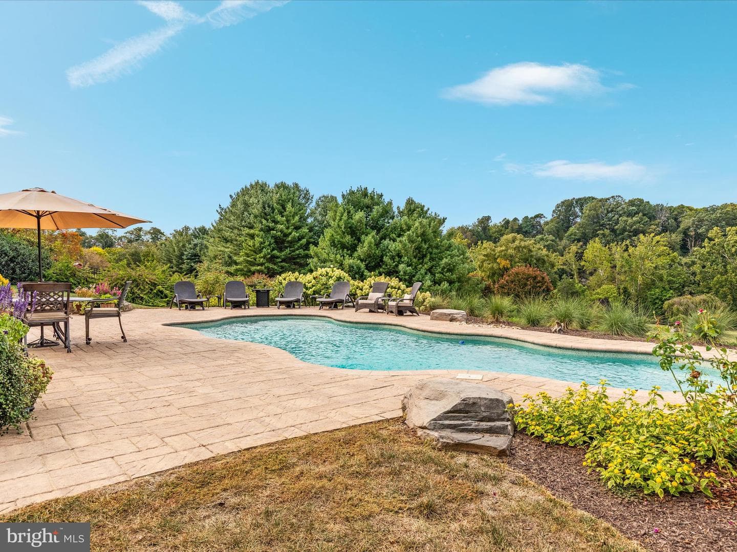 398 Cliffside Drive photo 7