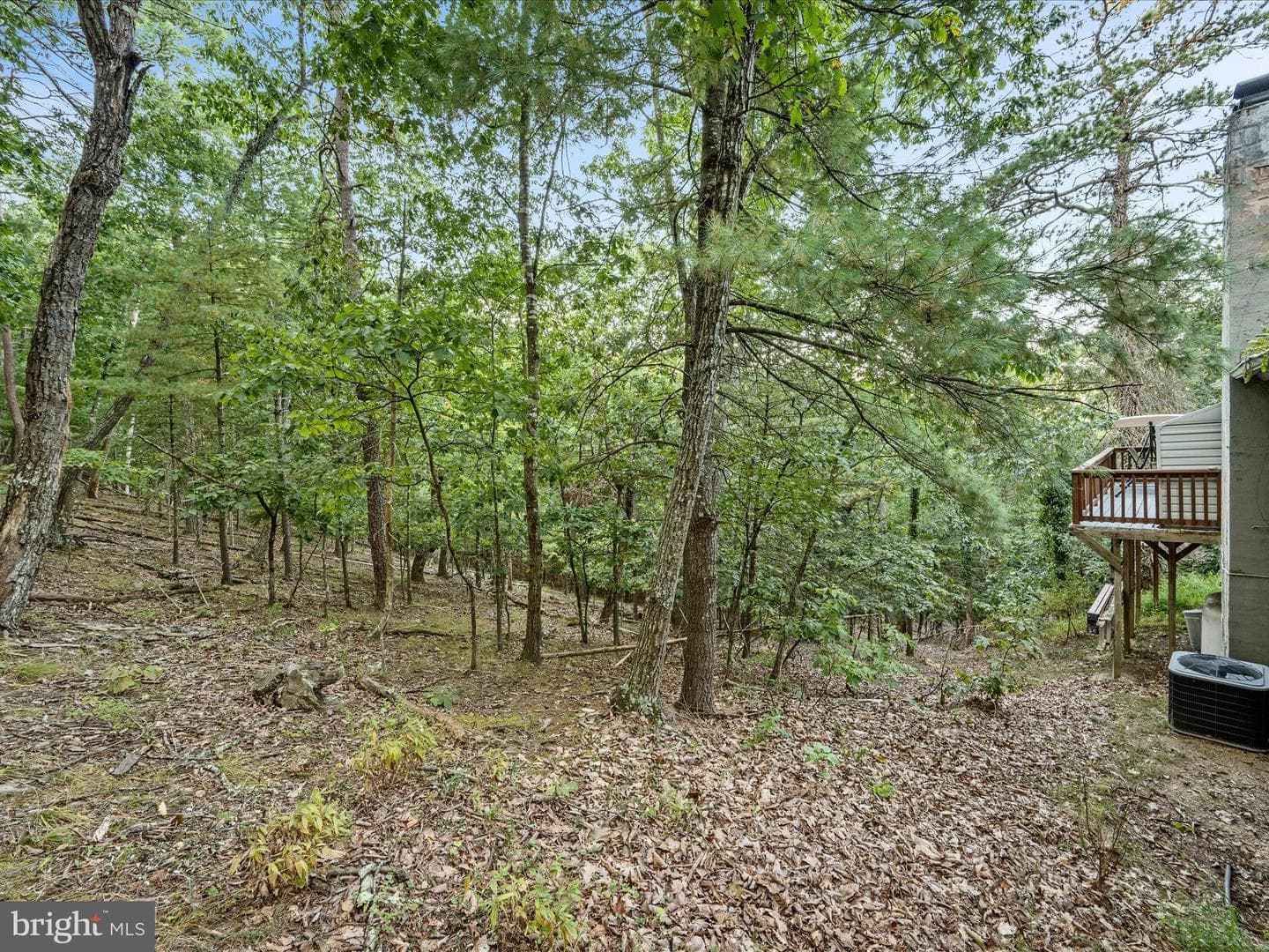21 Ringneck Ct photo 40