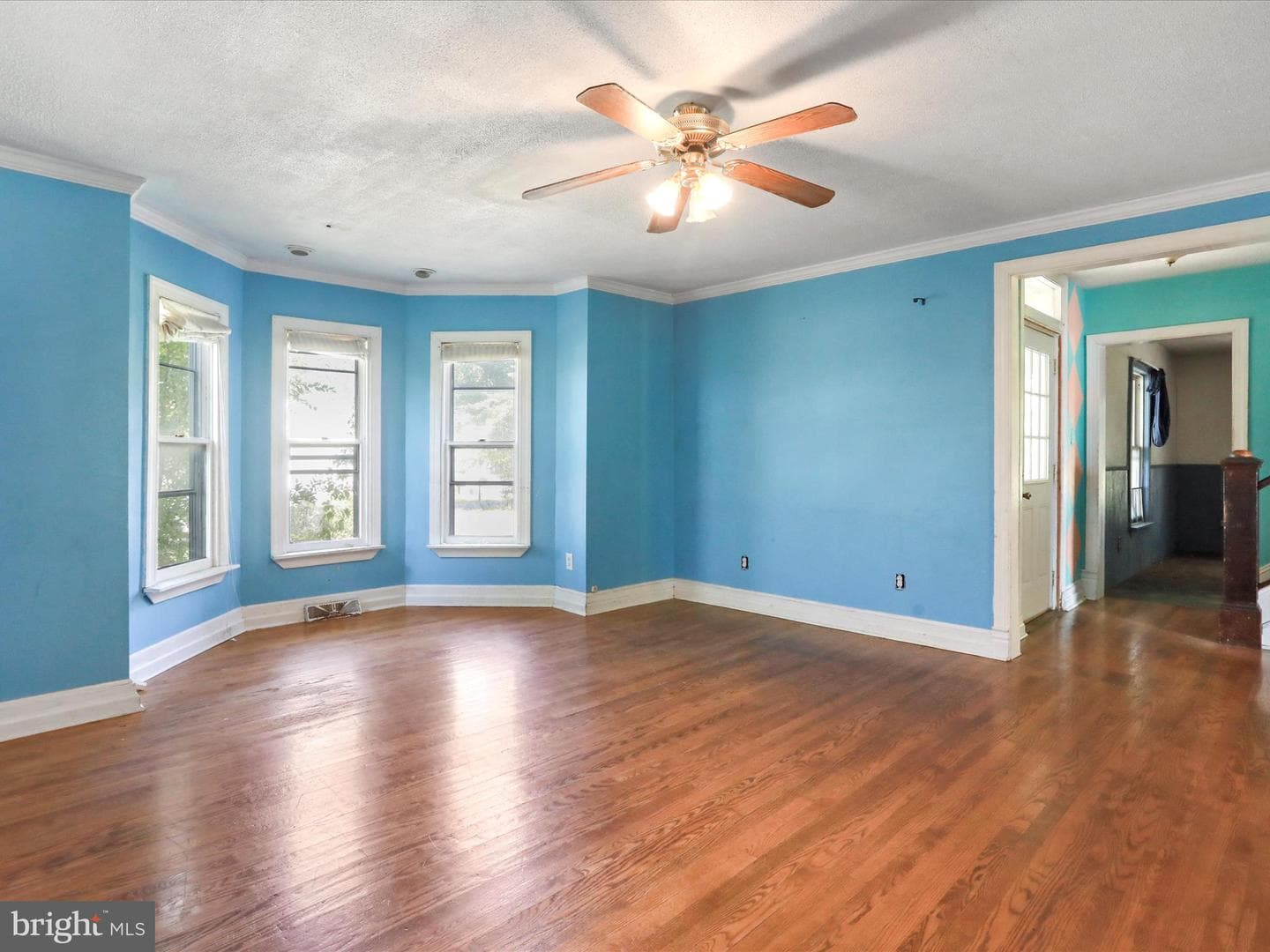 427 Thompson Street photo 14