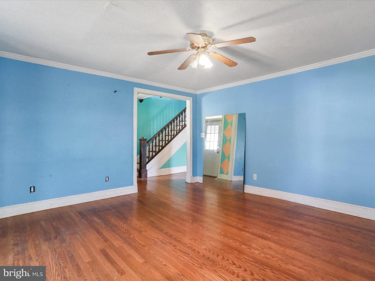 427 Thompson Street photo 15