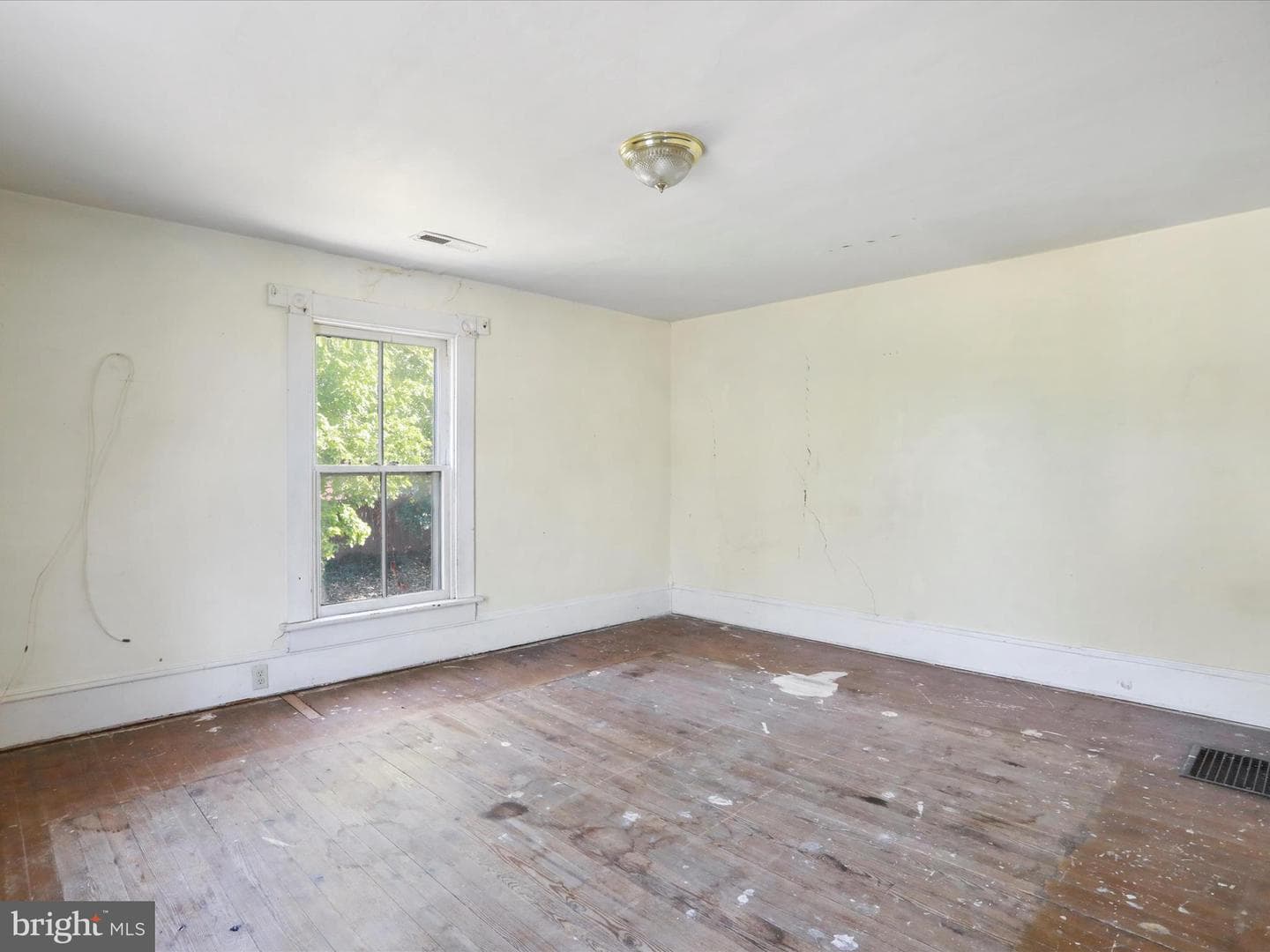 427 Thompson Street photo 18