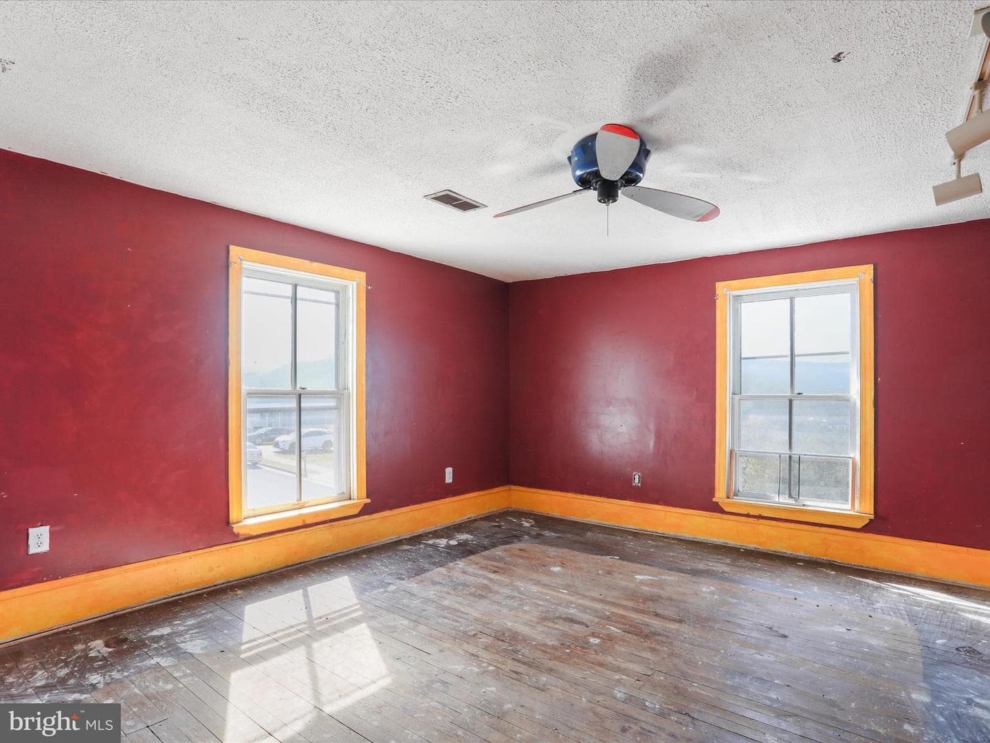 427 Thompson Street photo 22
