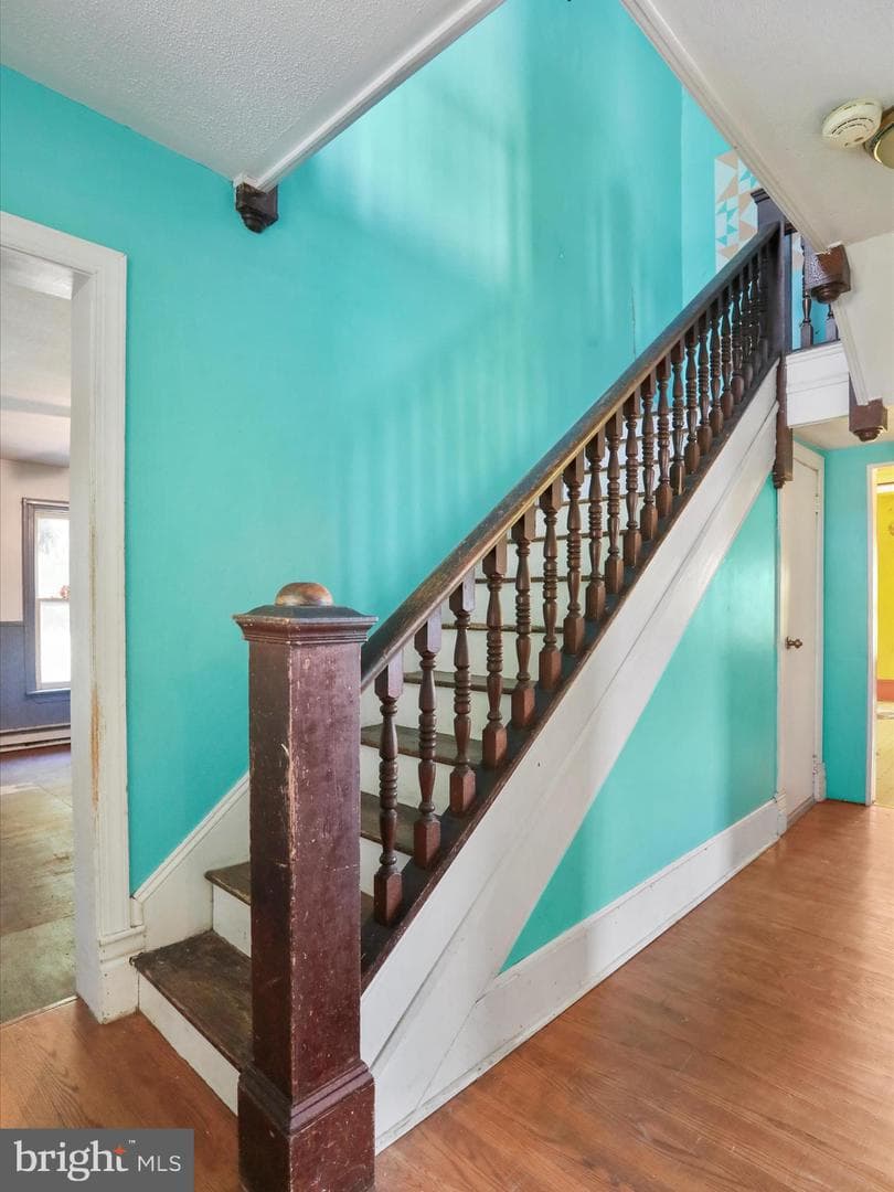 427 Thompson Street photo 28
