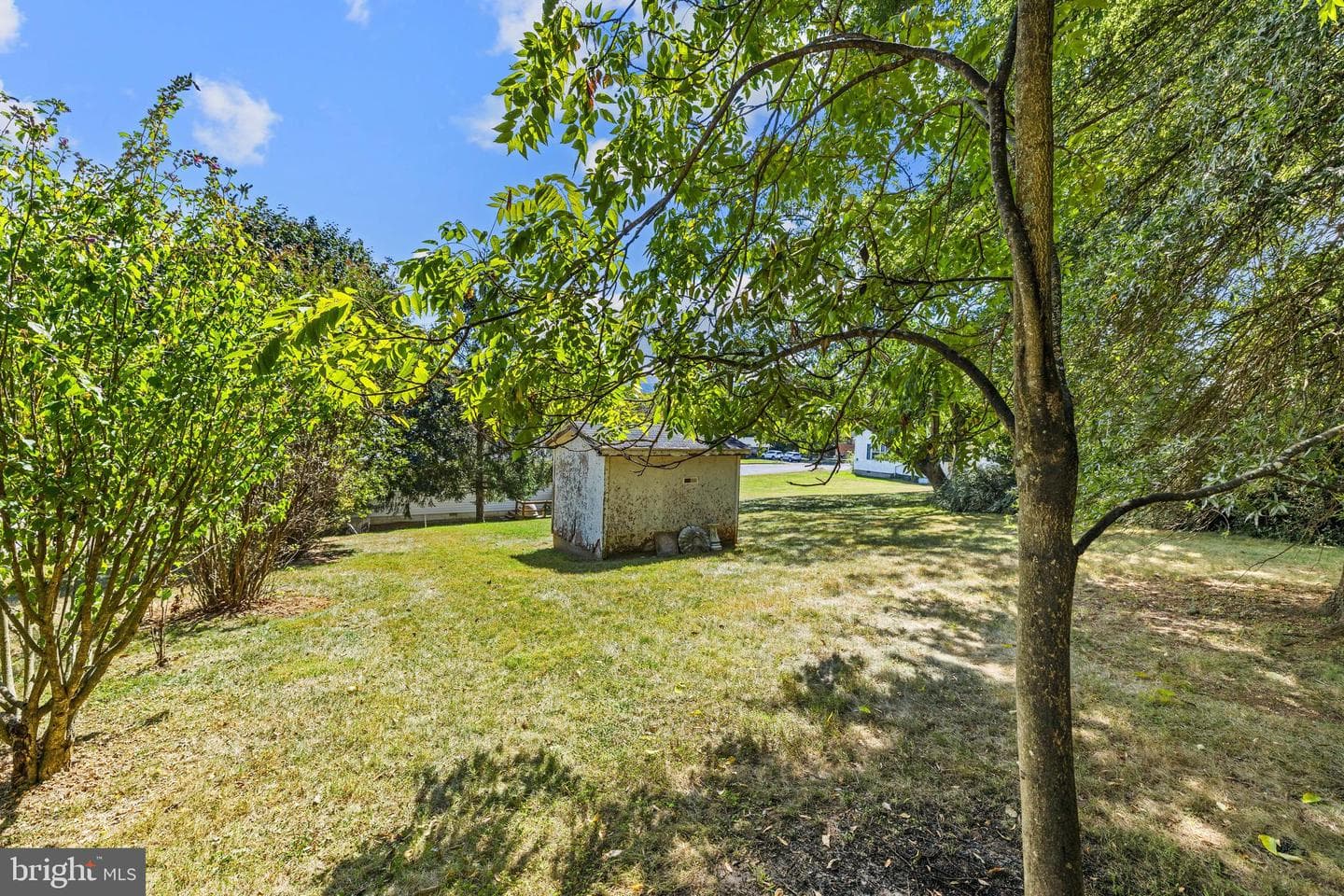 756 Spring Parkway photo 15