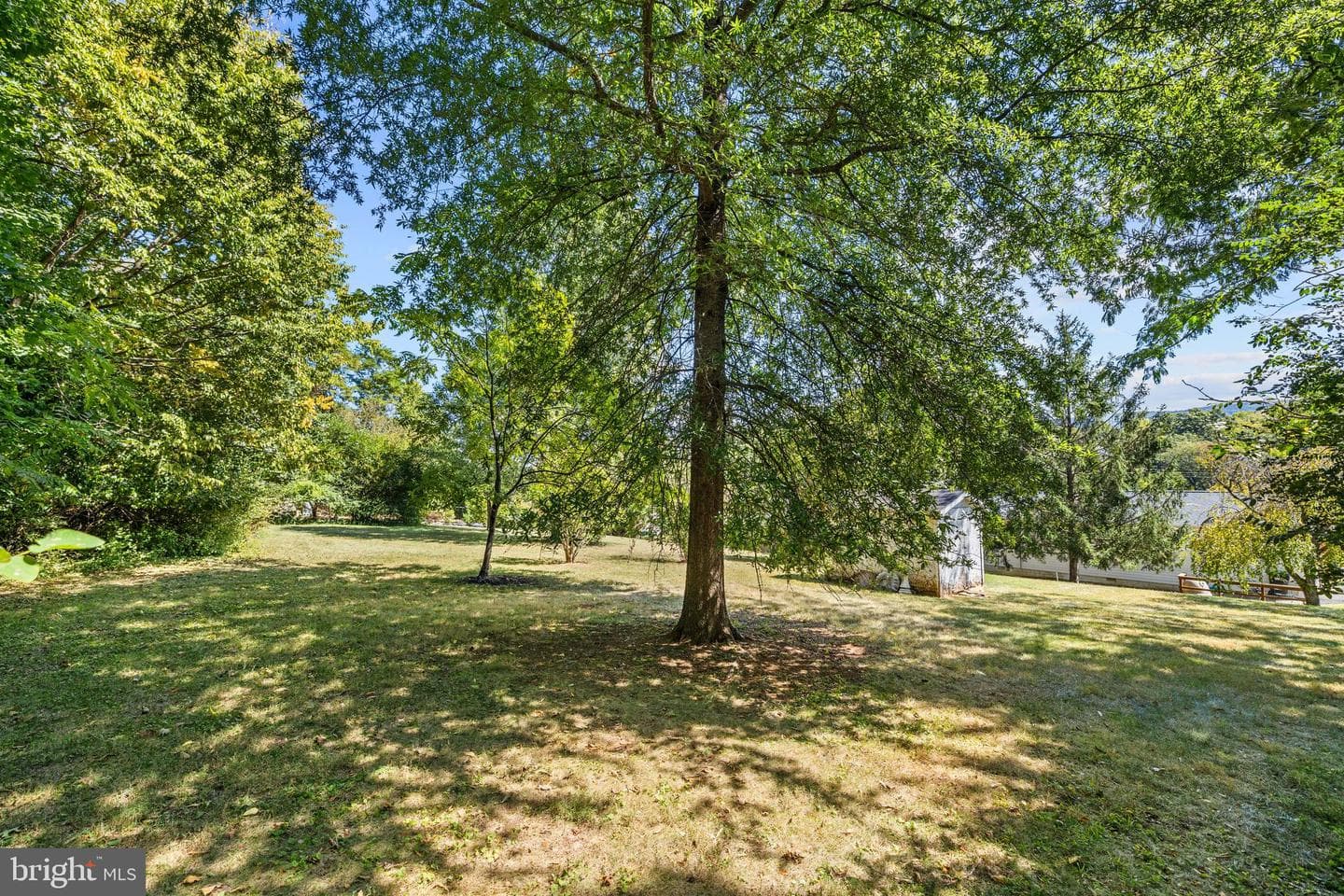756 Spring Parkway photo 16
