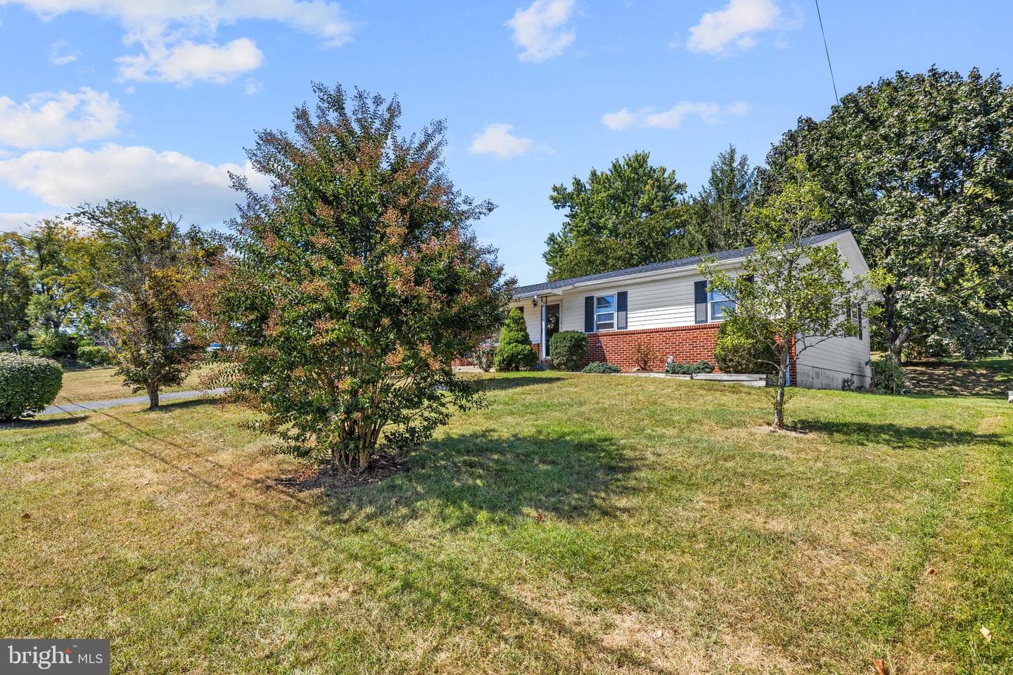 756 Spring Parkway photo 5