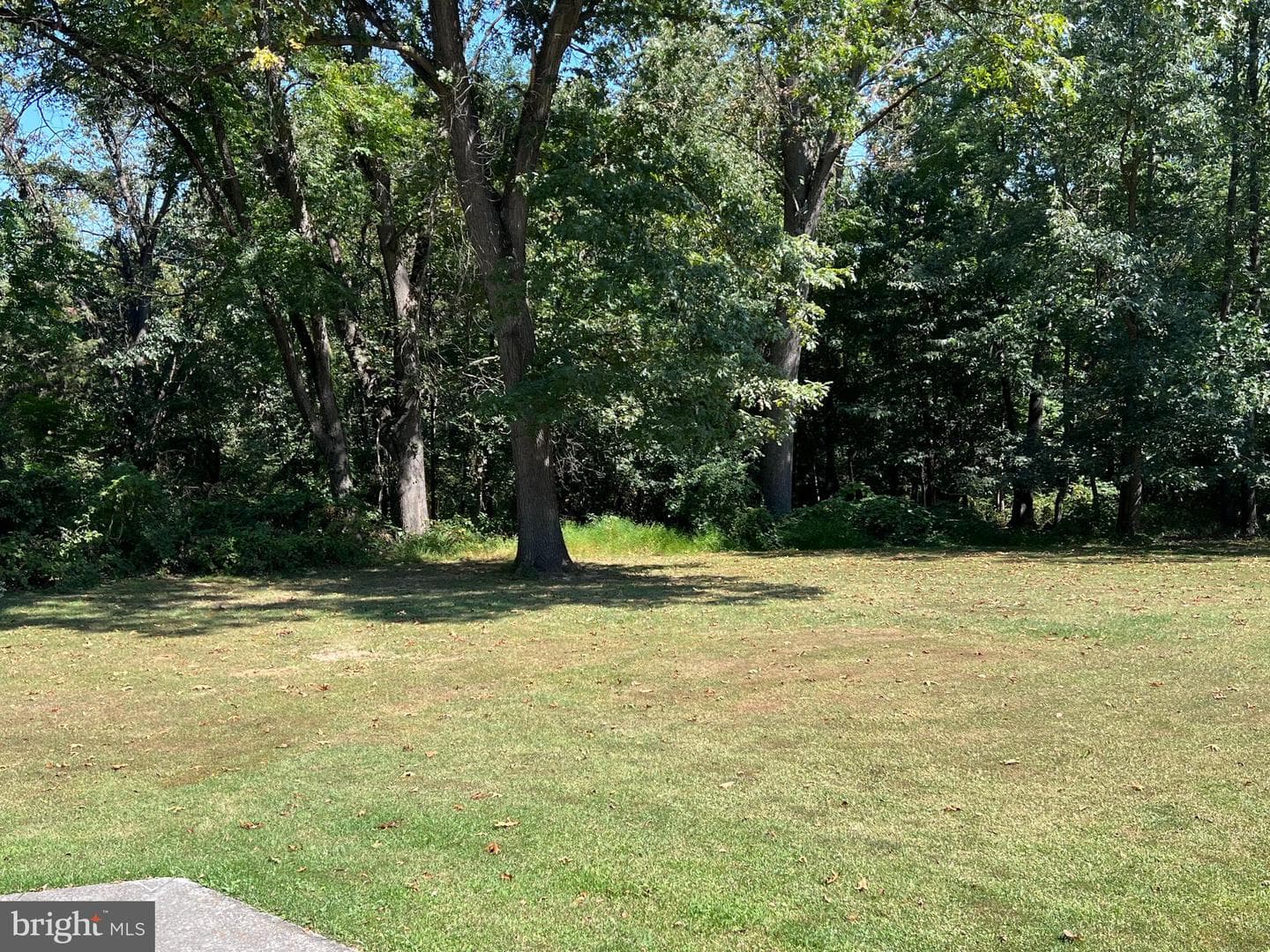 123 Oak Hill Drive photo 82