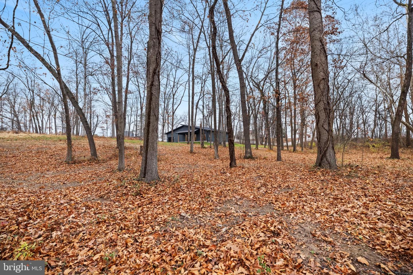 126 Chickadee Court photo 81