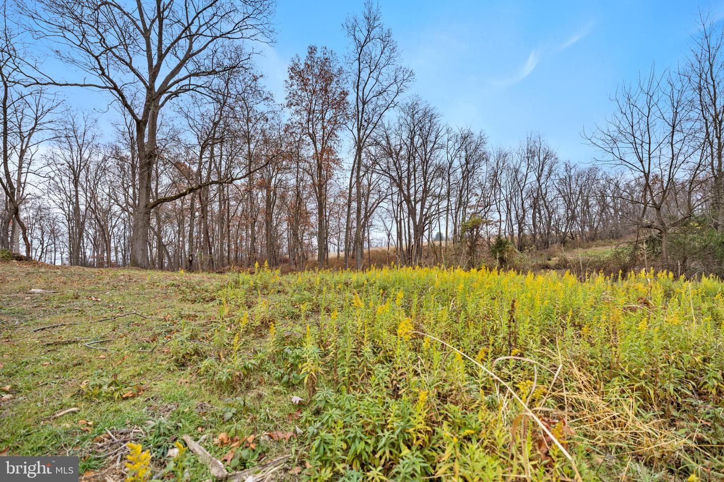 126 Chickadee Court photo 83