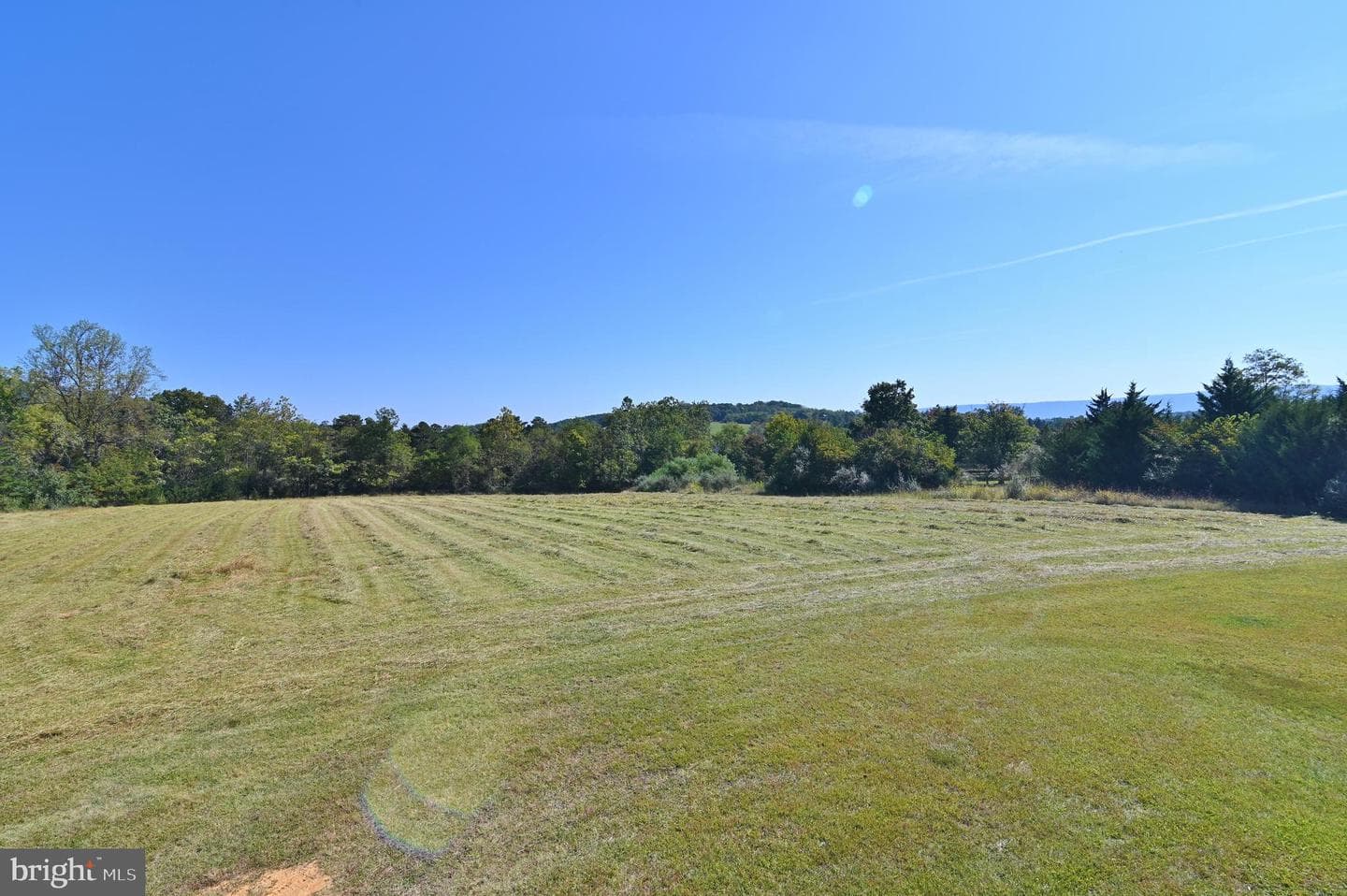 1312 Alonzaville Road photo 27