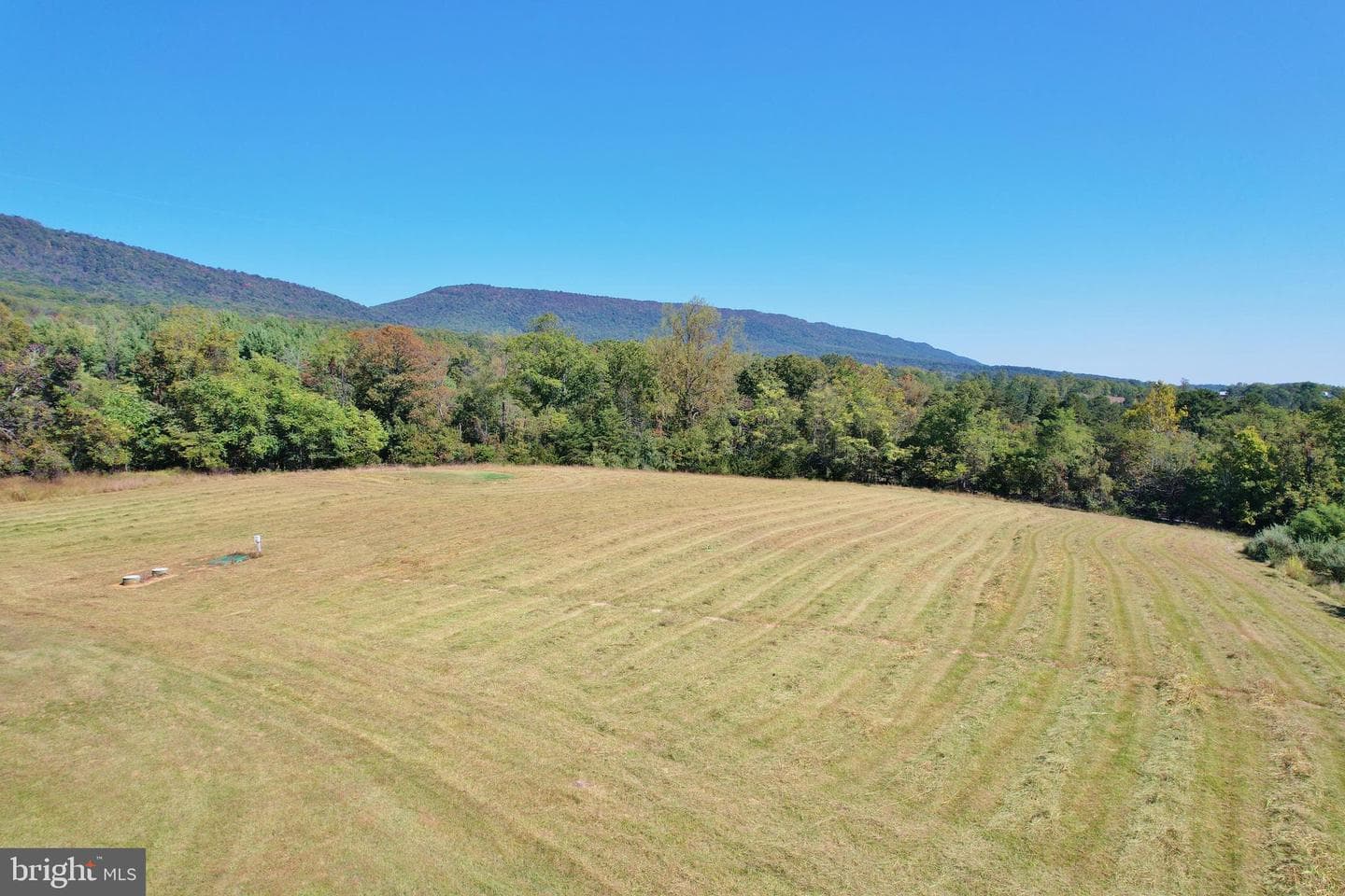 1312 Alonzaville Road photo 5