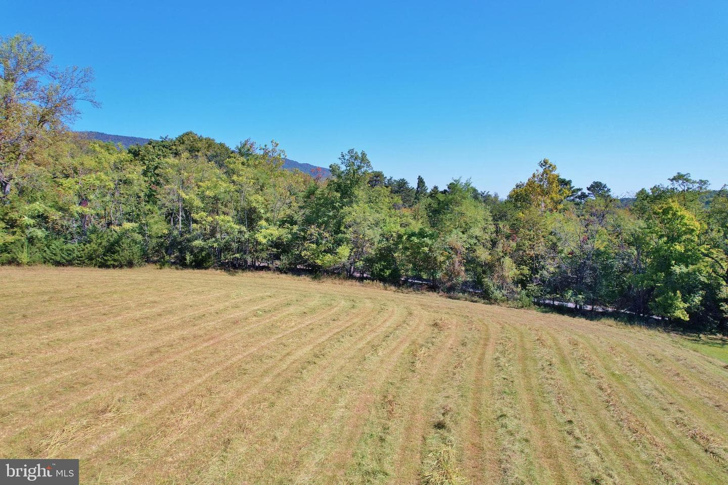 1312 Alonzaville Road photo 6