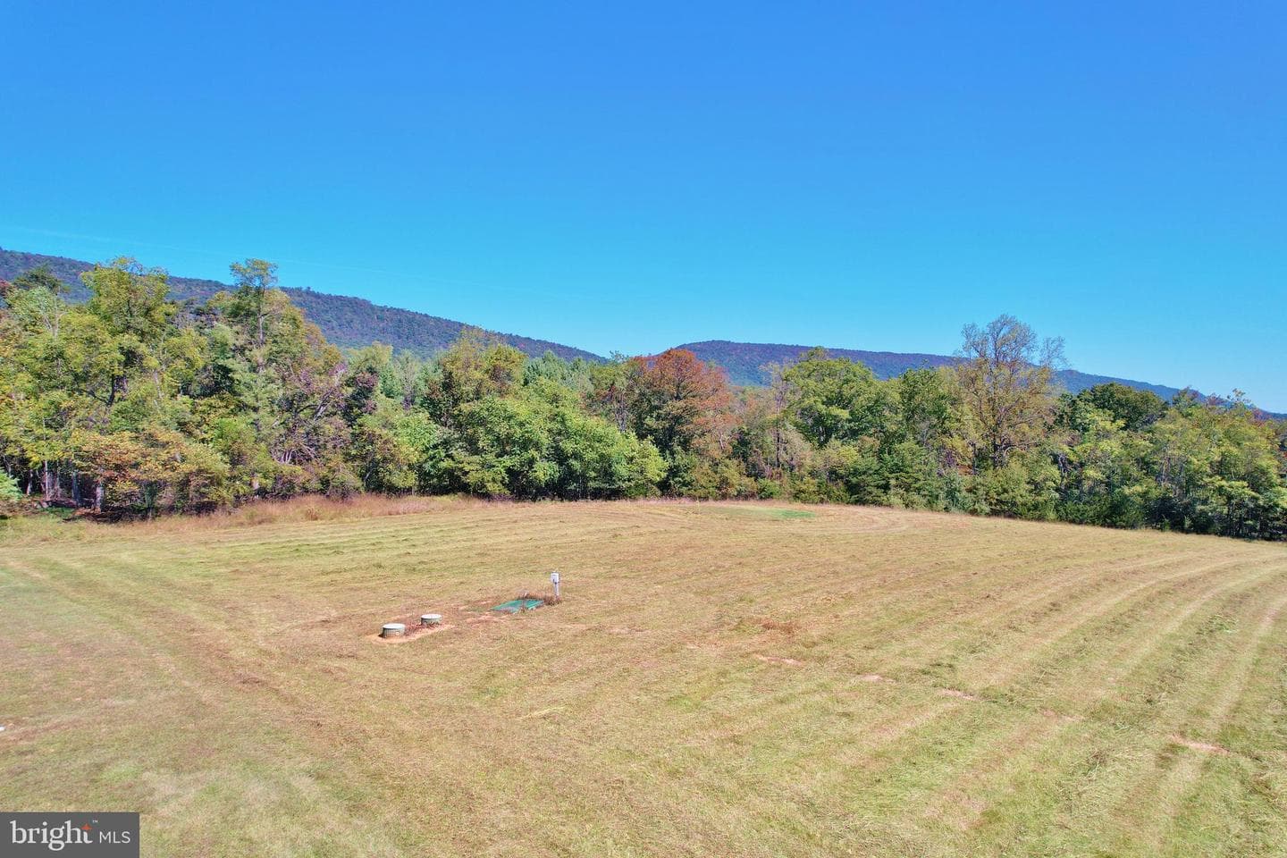 1312 Alonzaville Road photo 7