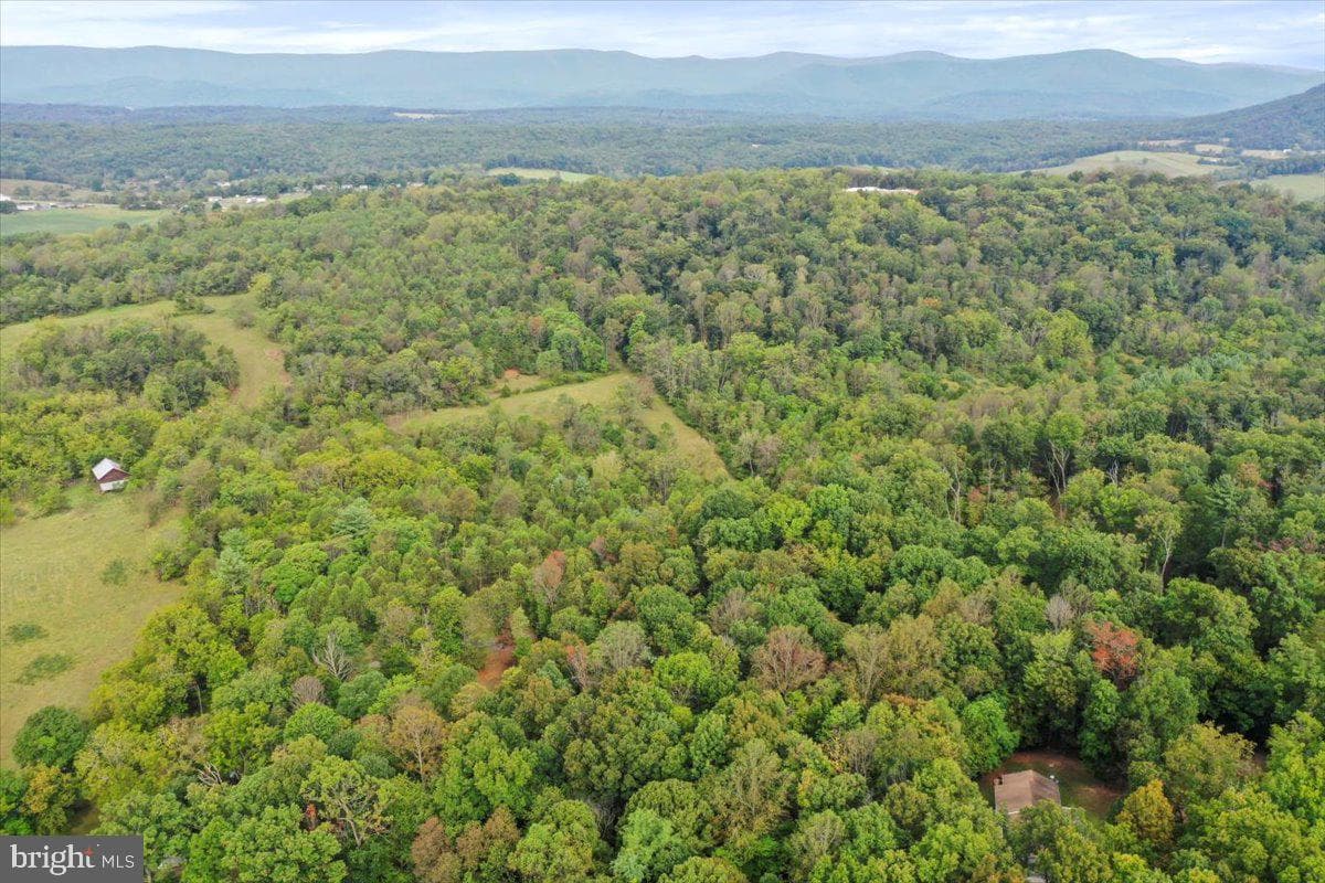 2726 Cave Ridge Road photo 36