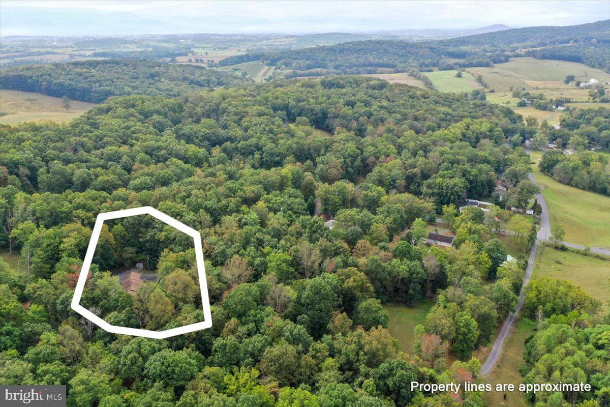 2726 Cave Ridge Road photo 38