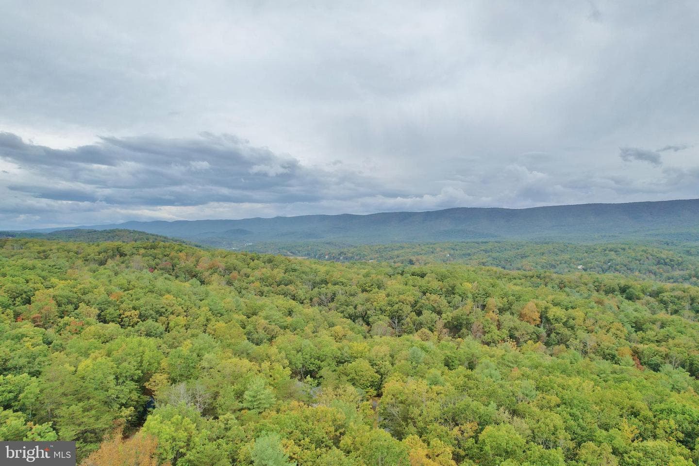 5448 Crooked Run Rd photo 64