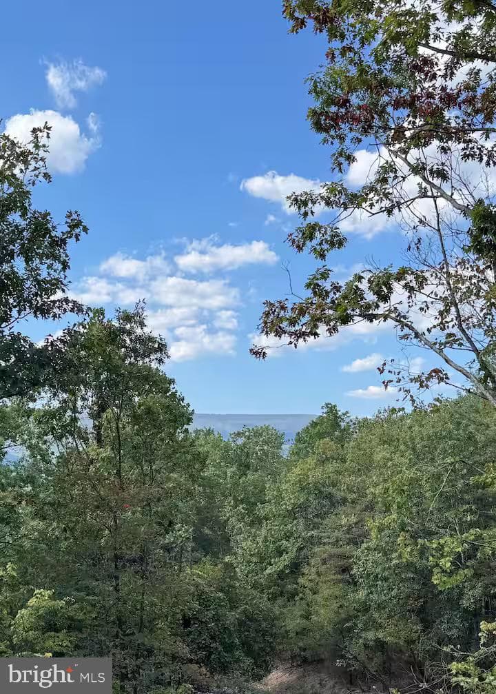 5448 Crooked Run Rd photo 66