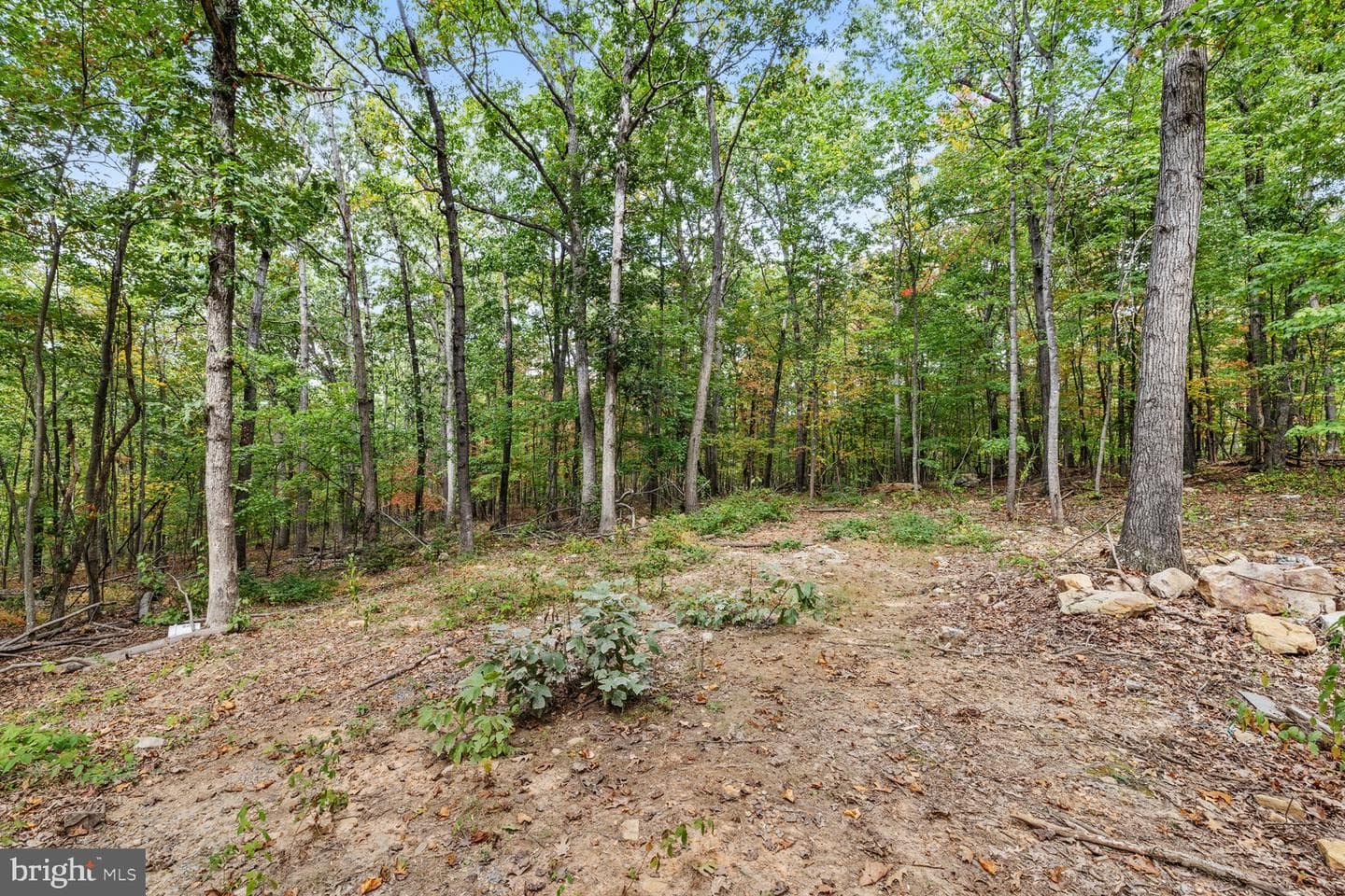 55 Mountain Top Lane photo 6