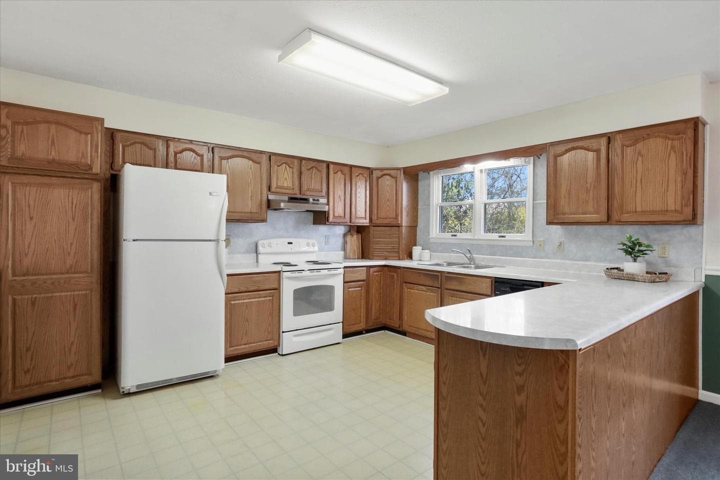 80 Honeysuckle Avenue photo 16