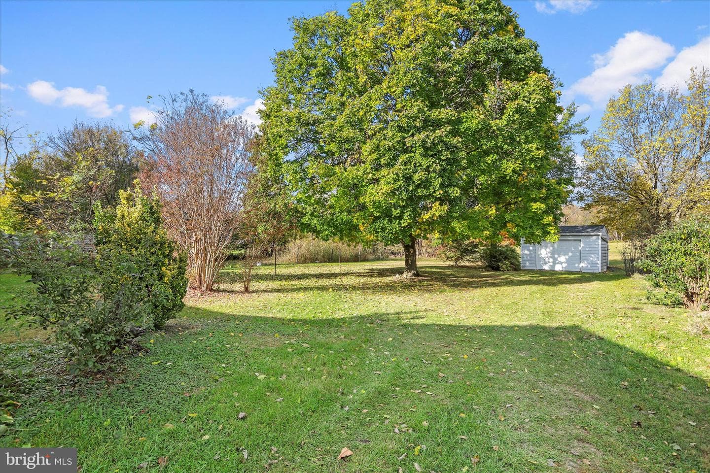 80 Honeysuckle Avenue photo 27