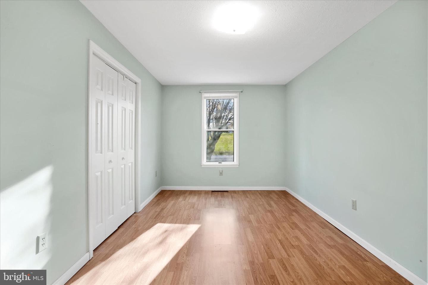80 Honeysuckle Avenue photo 7