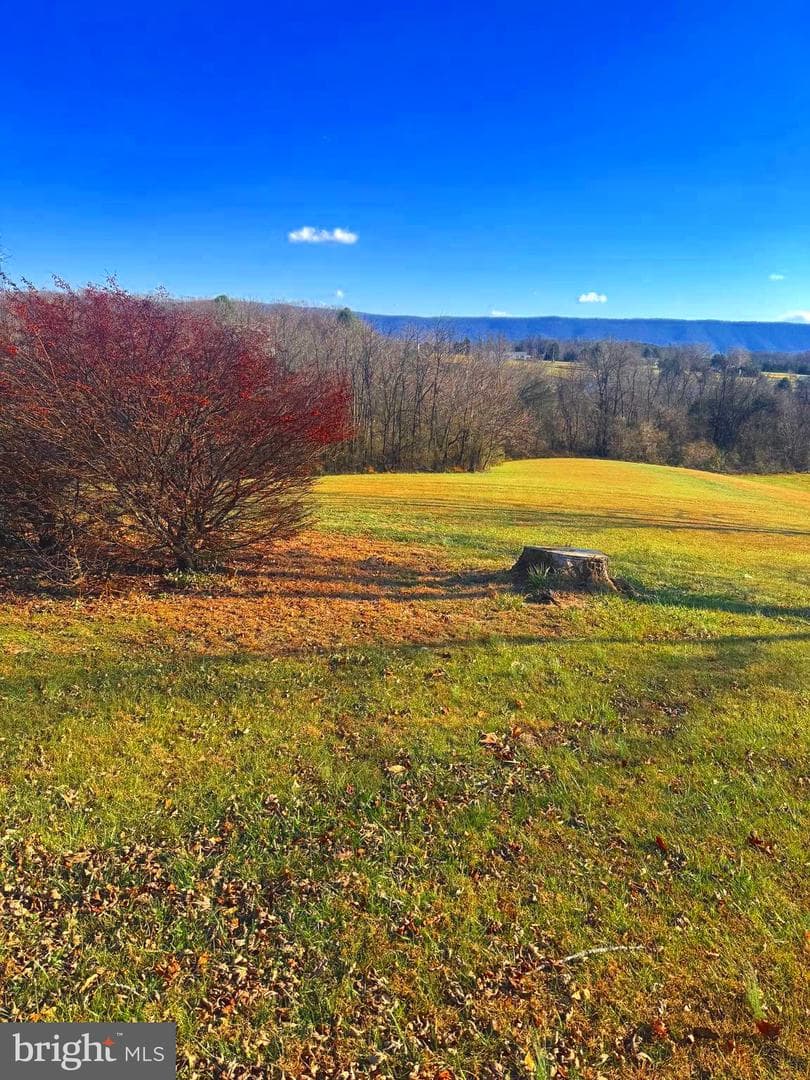 522 Manor Hill Drive photo 60