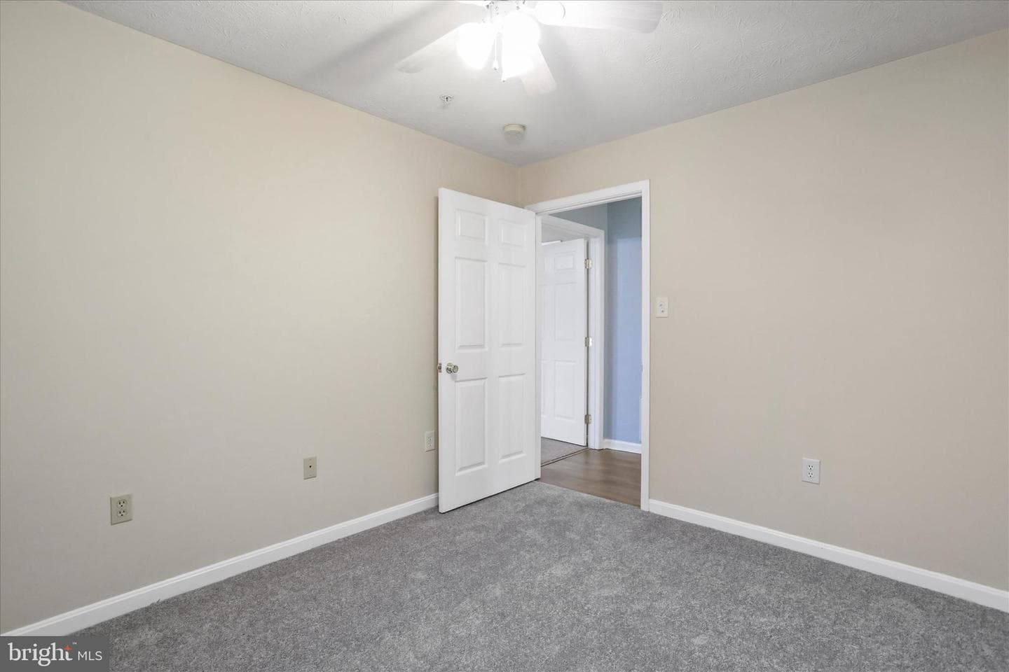 165 Hailey Lane photo 16