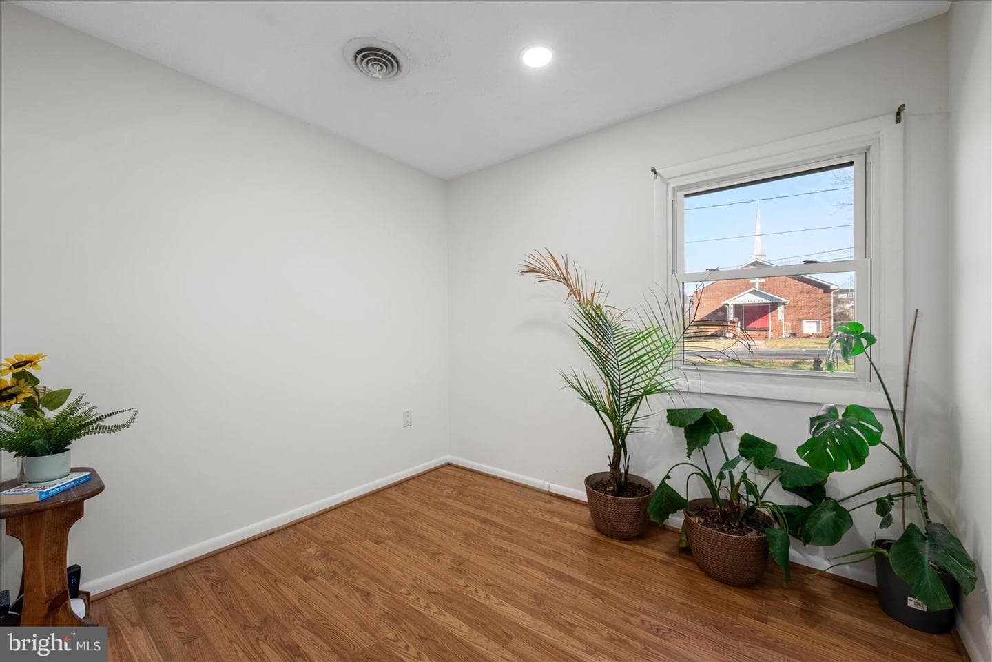 557 Ash Street photo 15